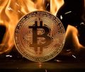 bitcoin, coin, flame, icon, symbol, logo, fire, burning, bitcoin logo, currency, cryptocurrency, bitcoin, bitcoin, bitcoin, bitcoin, bitcoin, bitcoin logo, cryptocurrency